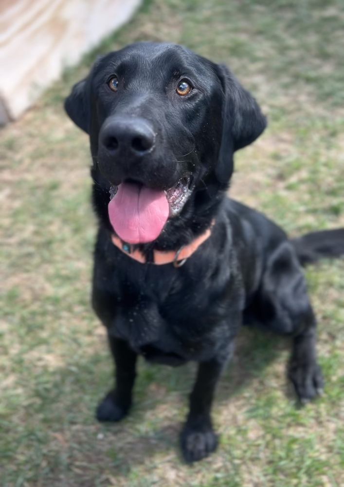 Micah