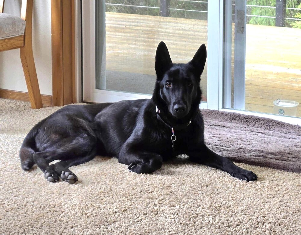 Libby - Located in OR