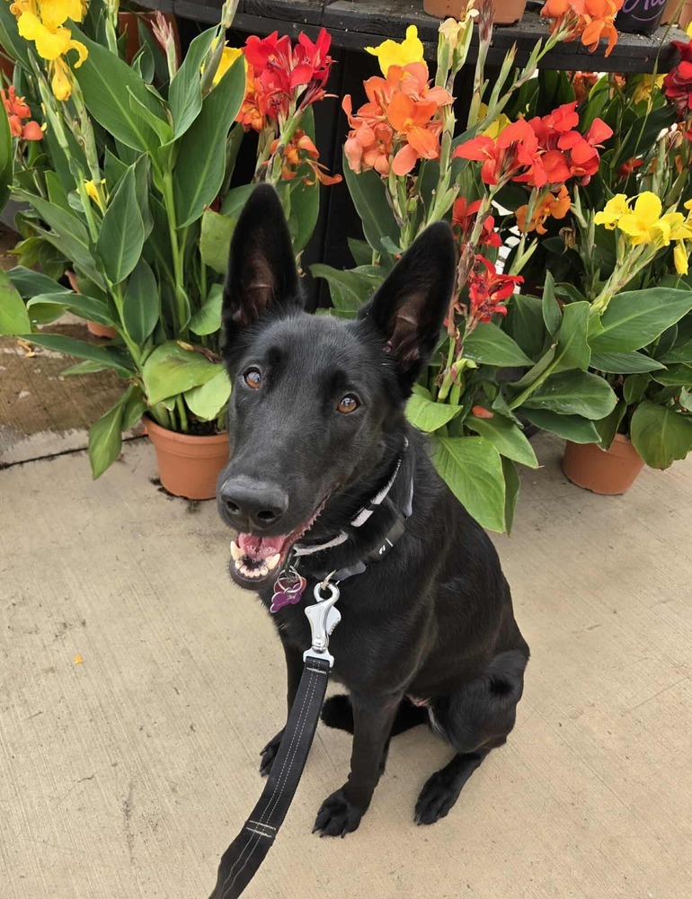 Libby - Located in OR