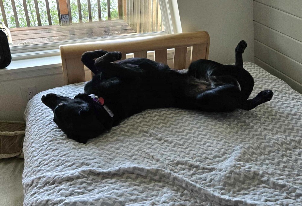 Libby - Located in OR