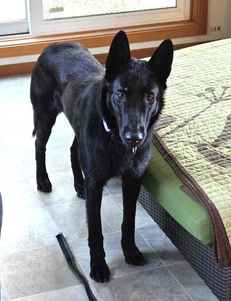 Libby - Located in OR
