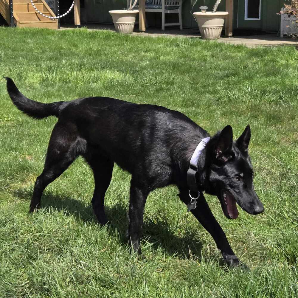 Libby - Located in OR