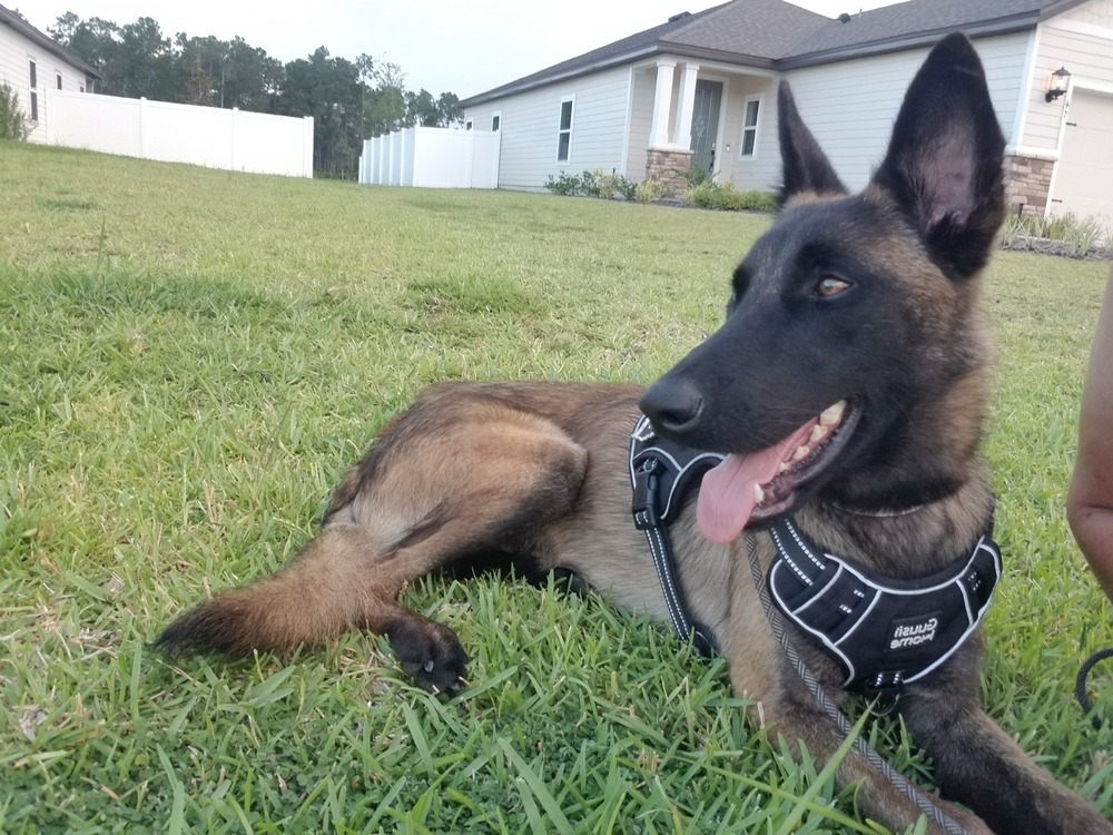 Dudley - Located in Florida