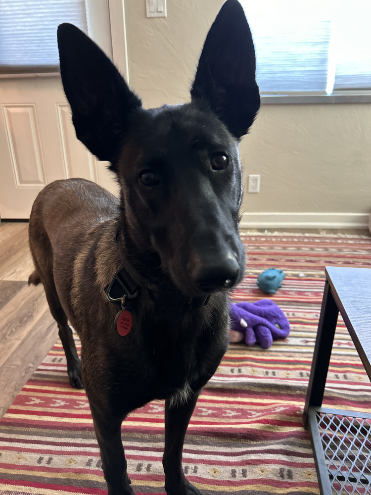 Asher - Located in WA