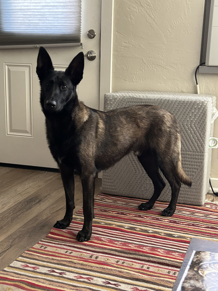 Asher - Located in WA