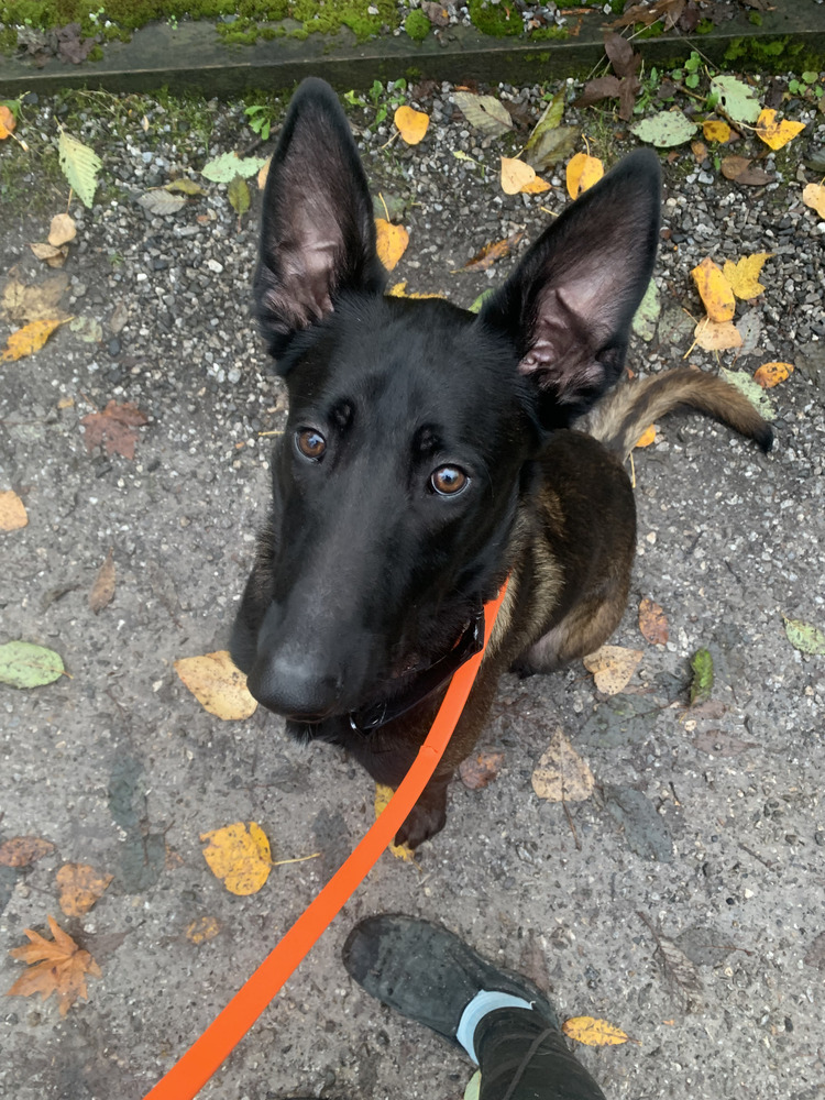 Asher - Located in WA