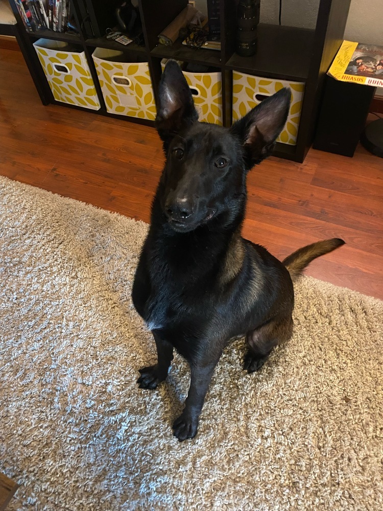 Asher - Located in WA