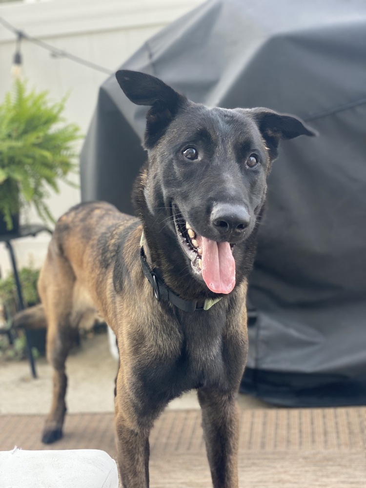 Coby - Located in Maryland