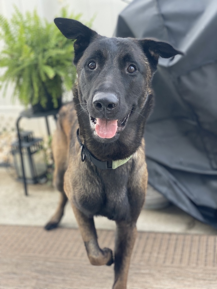 Coby - Located in Virginia