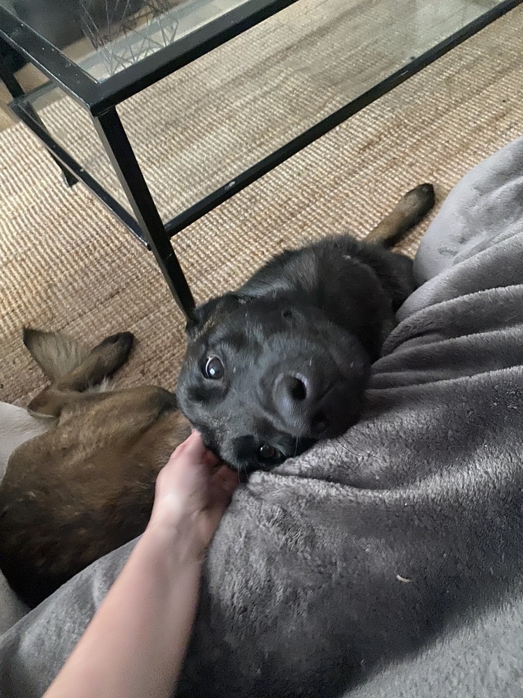 Coby - Located in Maryland