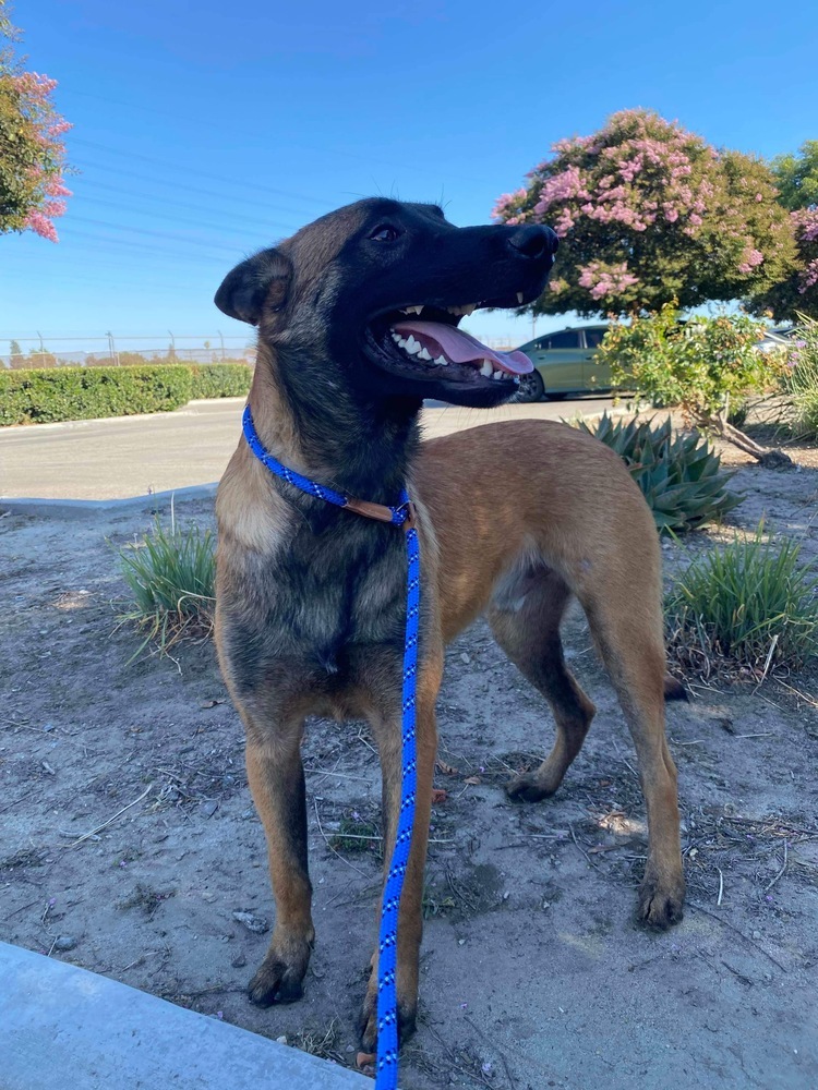 Jax - Located in CA