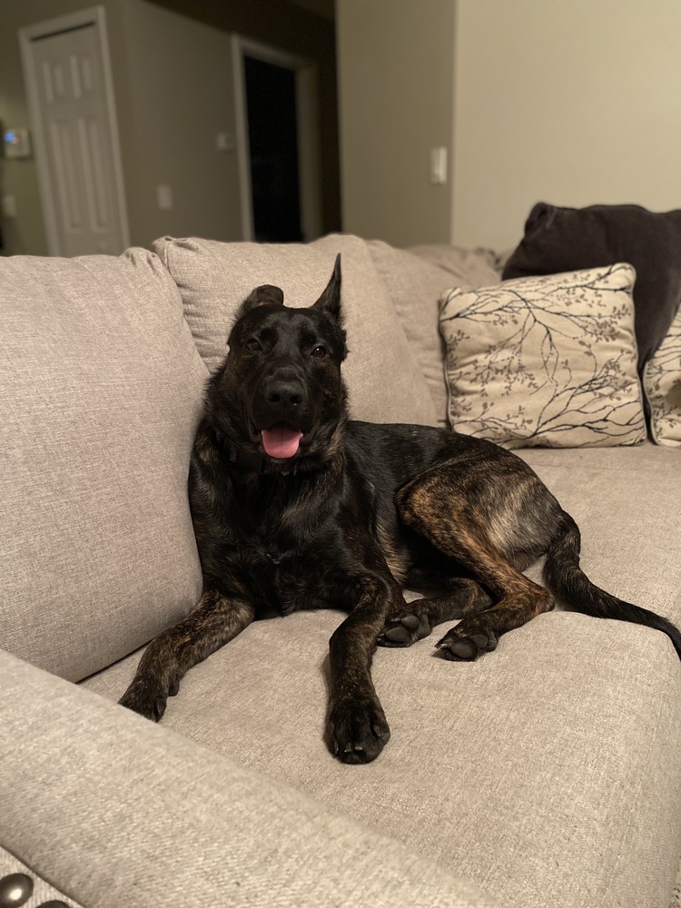 Cooper - located in GA