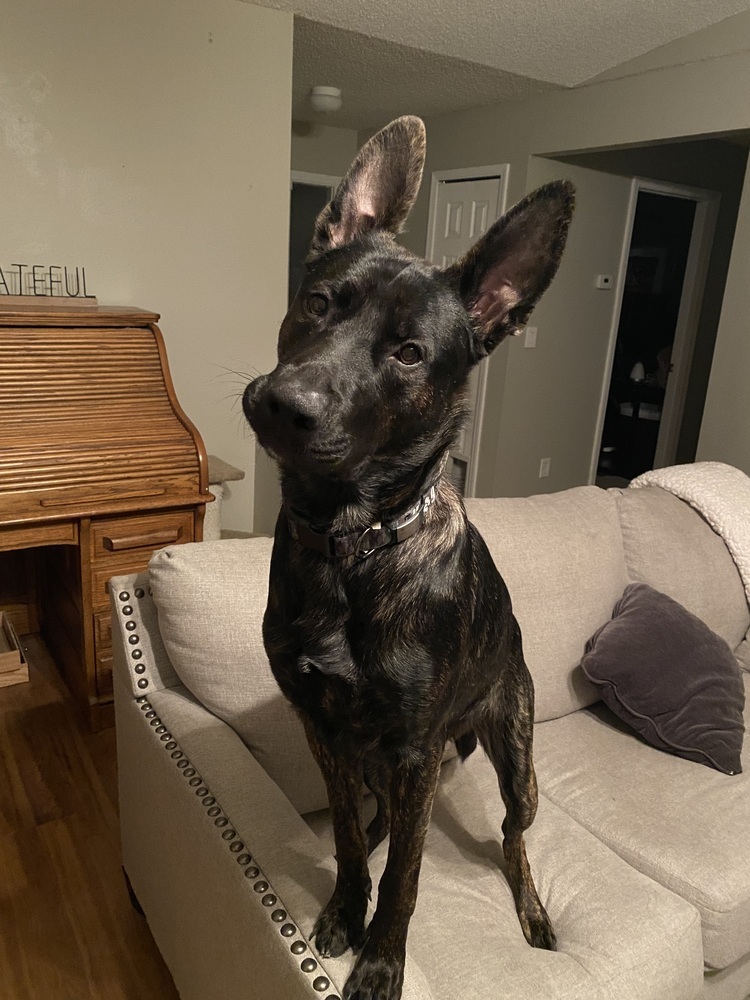 Cooper - located in GA