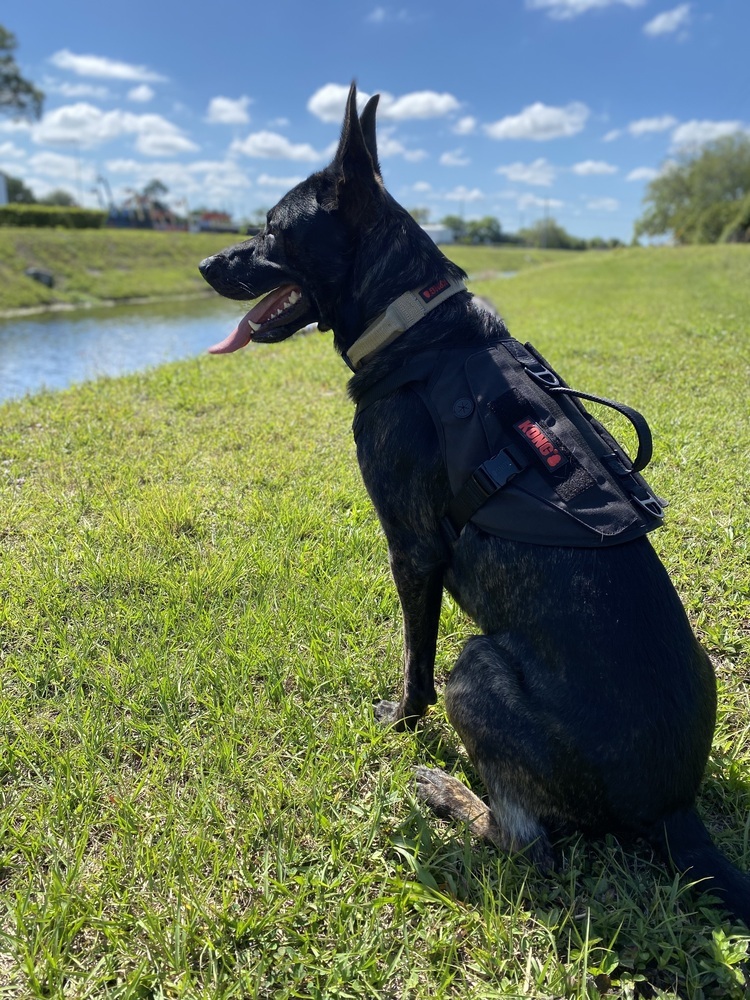 Cooper - located in GA