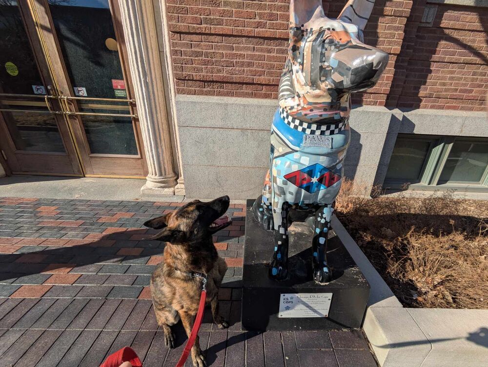 Ryder - Located in IL