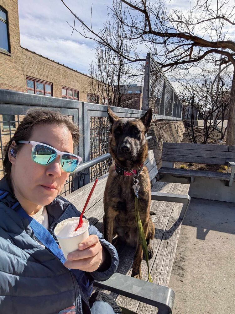 Ryder - Located in IL