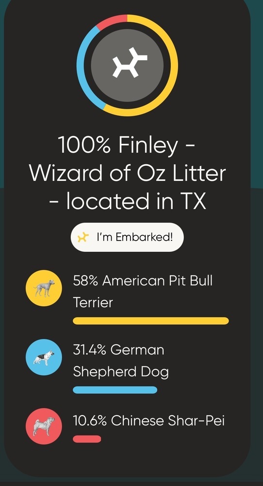 Wizard of Oz litter - Finley - located in west TX