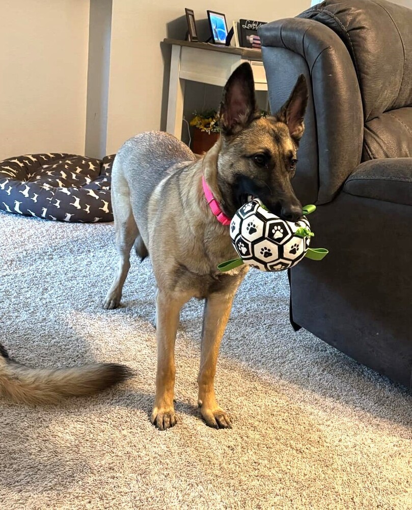 Winsome Willow - Located in TX