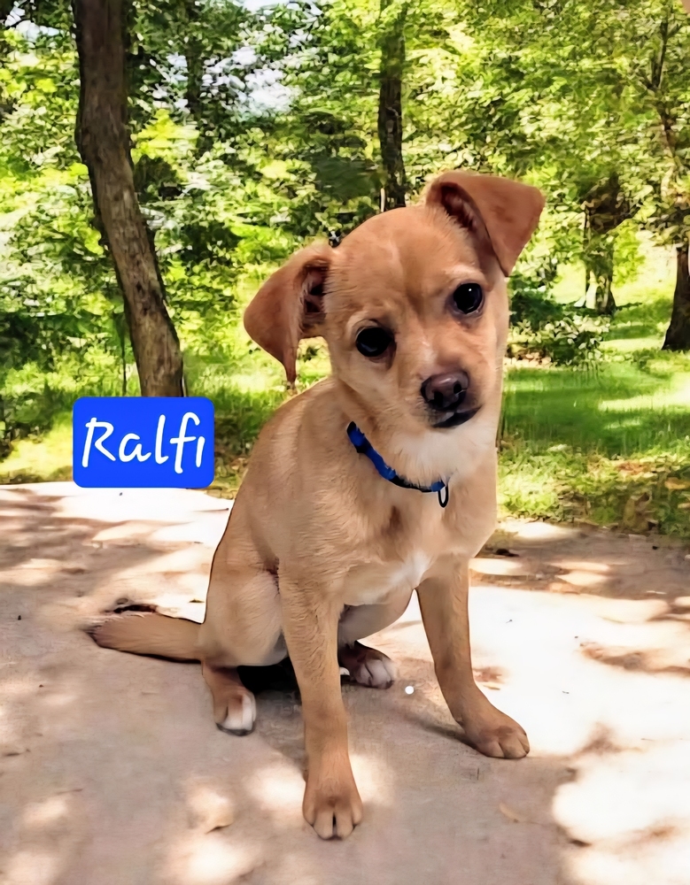 Ralfie