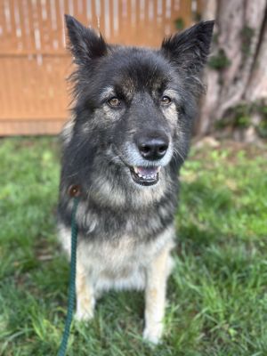 Katie, Senior Female unknown