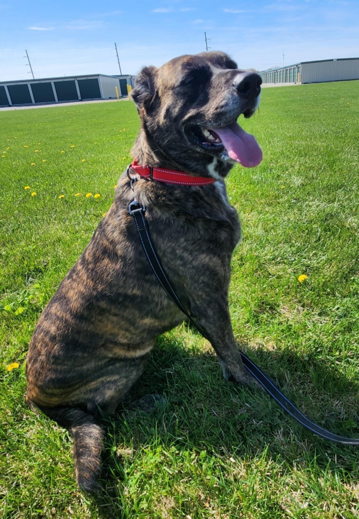 Rosie