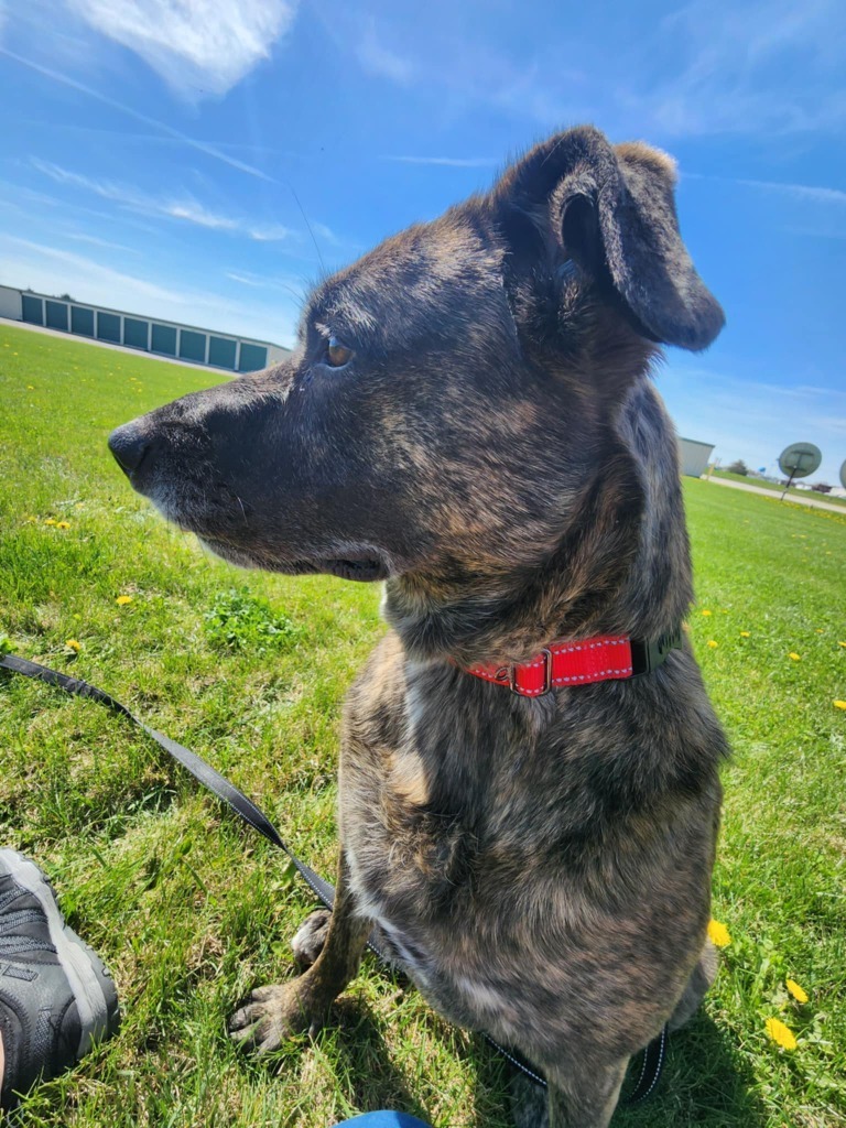 Rosie