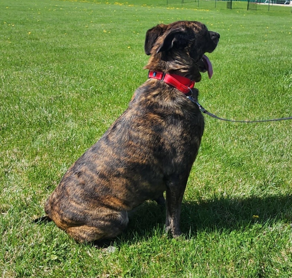 Rosie