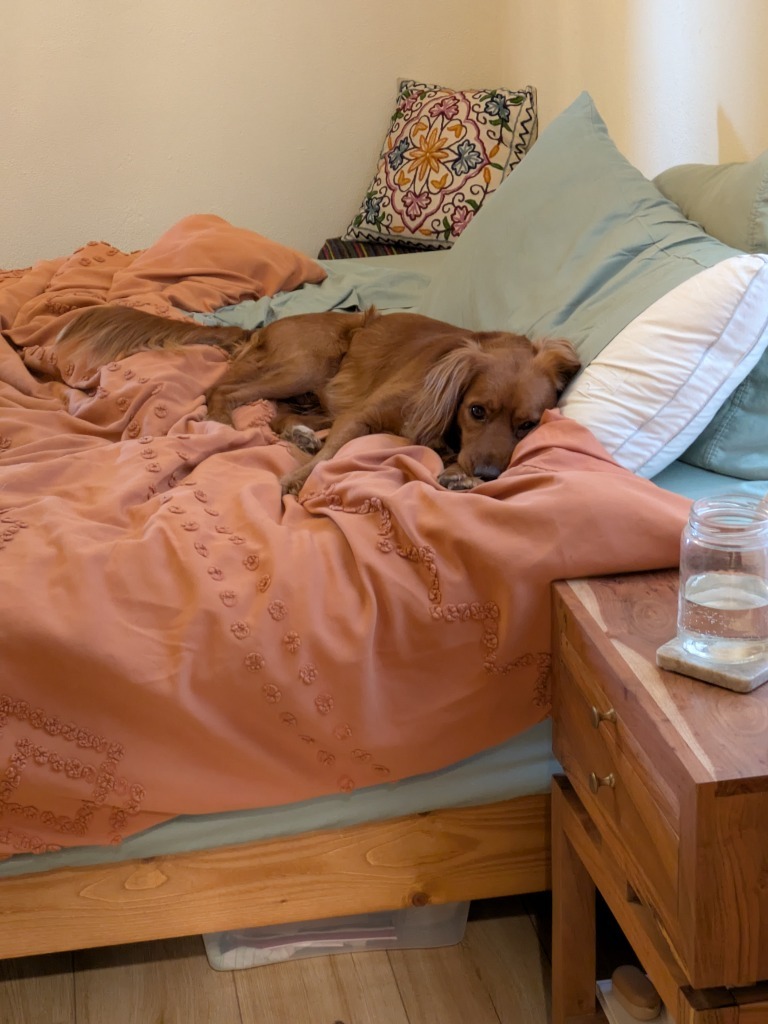 Murphy