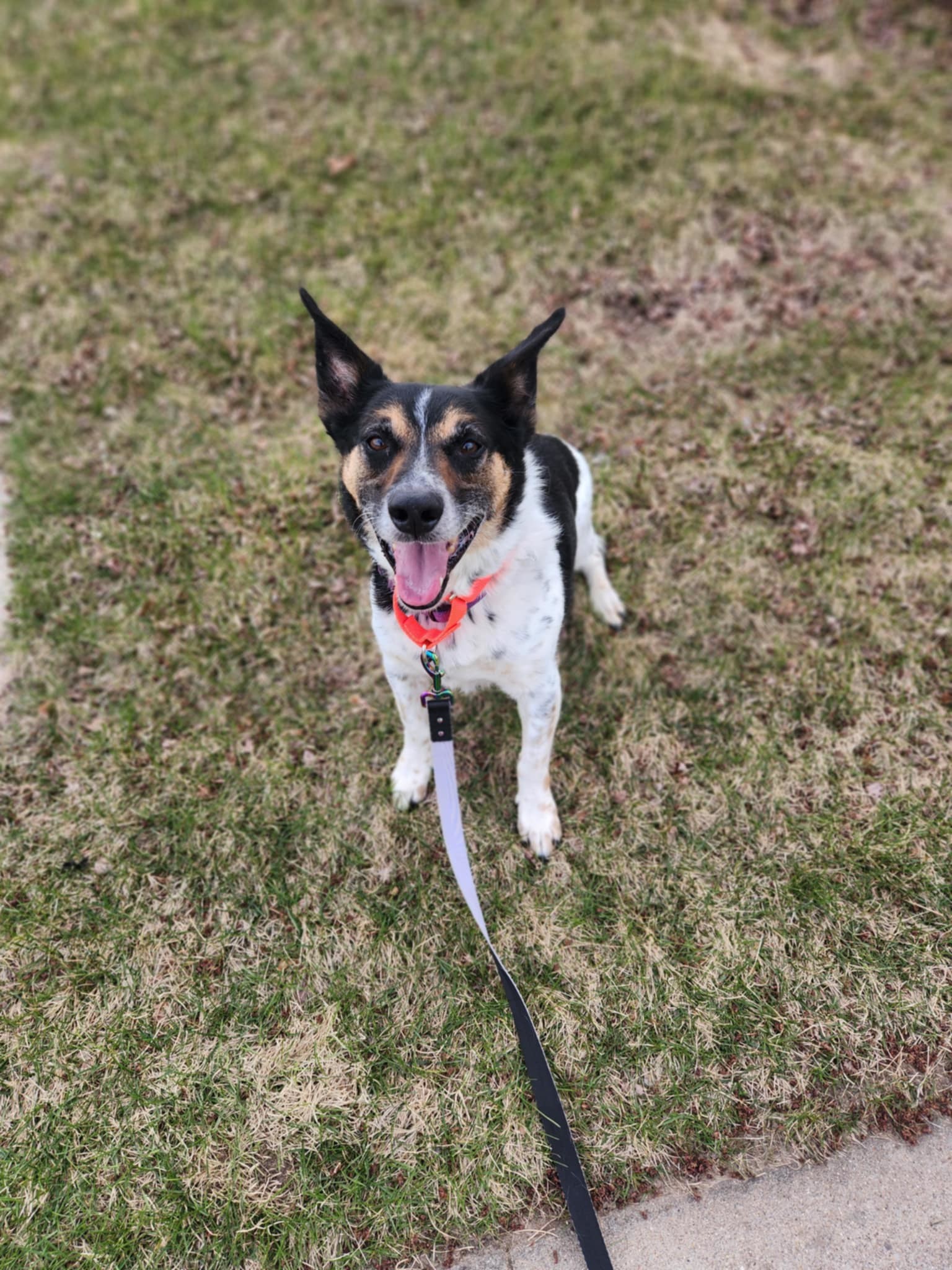 Oscar K