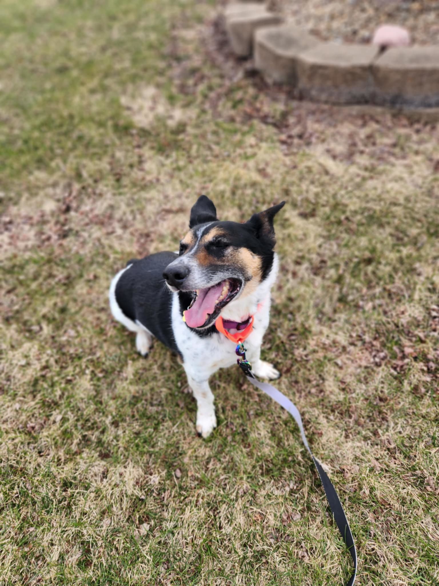 Oscar K