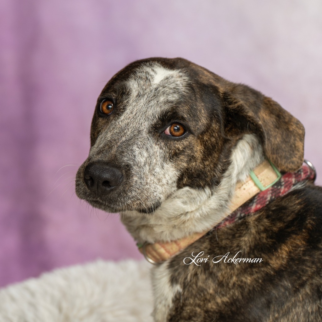 Xena