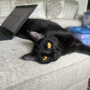 Nyx 1