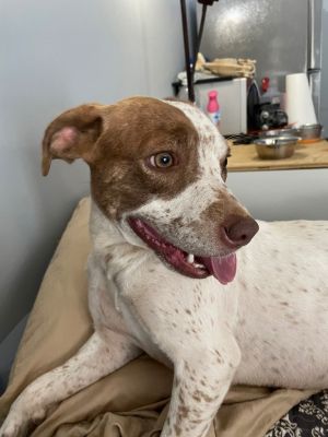 Josie