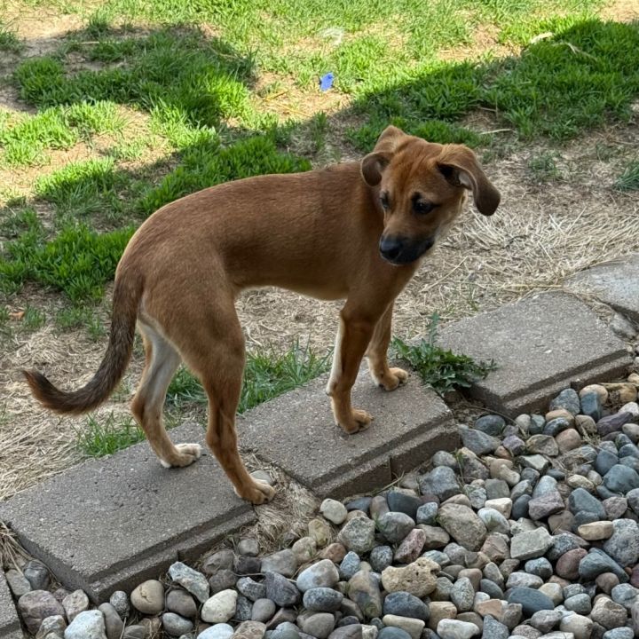 Frannie 6