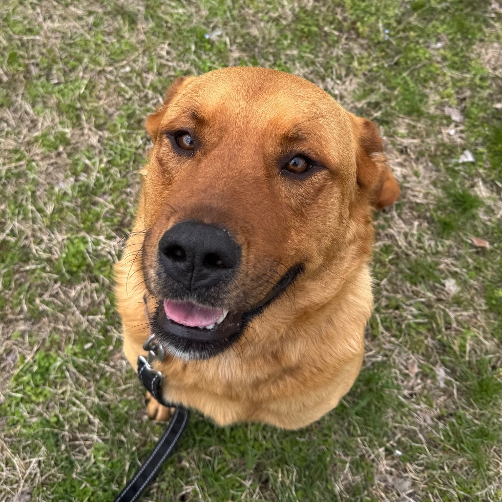 Zeke