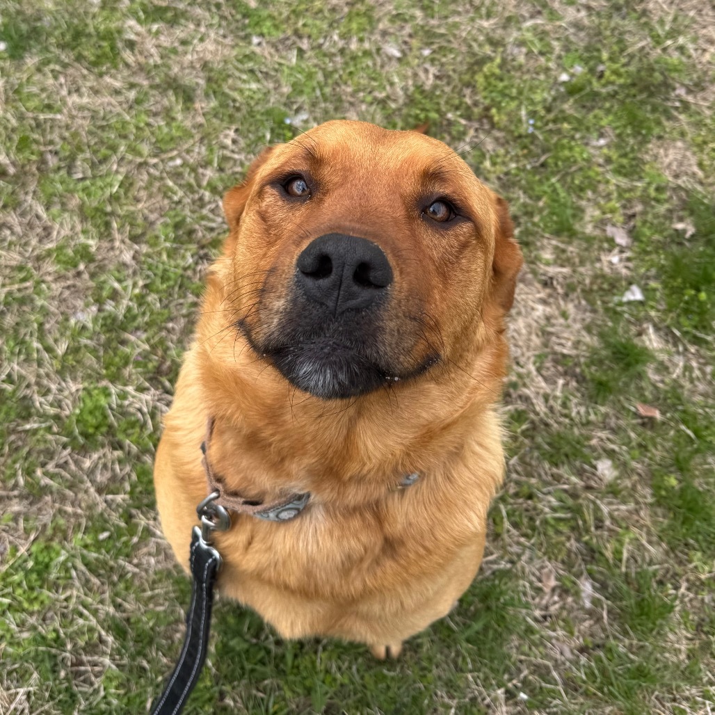 Zeke
