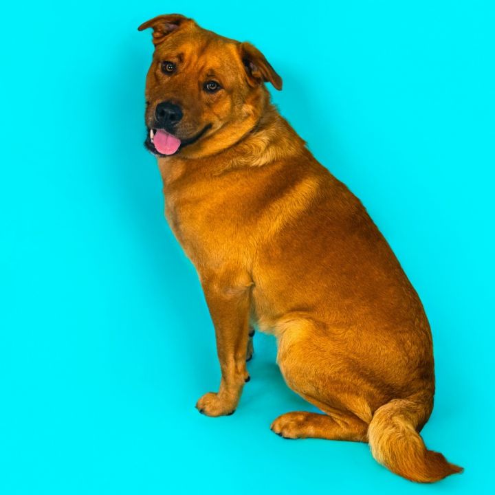 Zeke 1