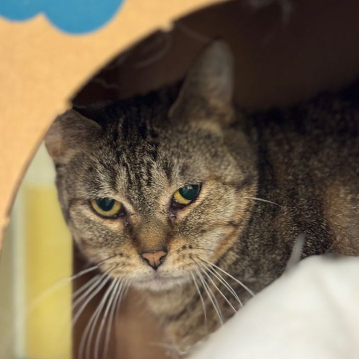 Tabitha 2