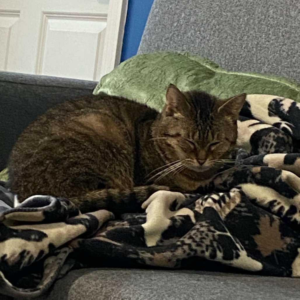 Tabitha