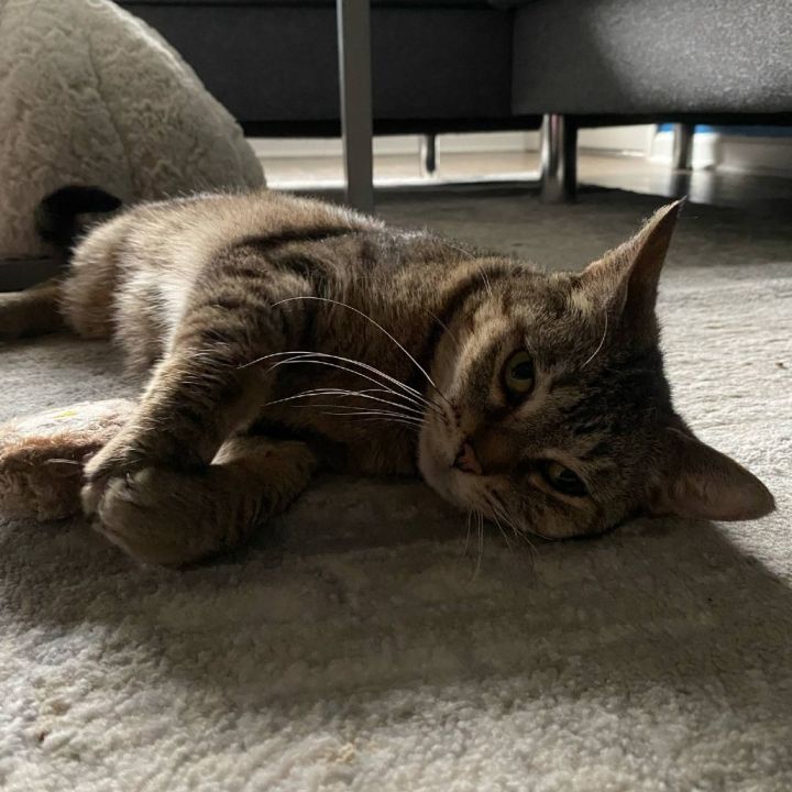 Tabitha 5