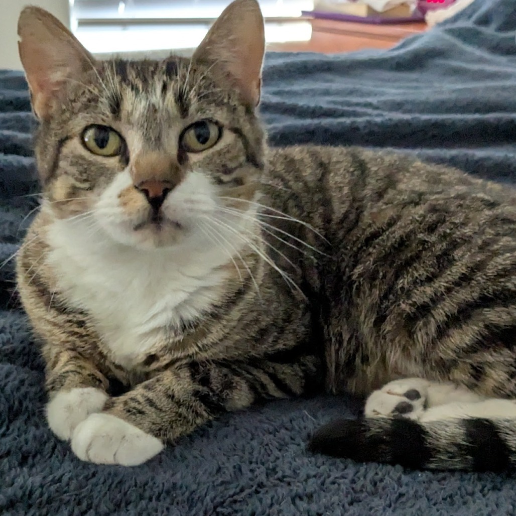 Samantha