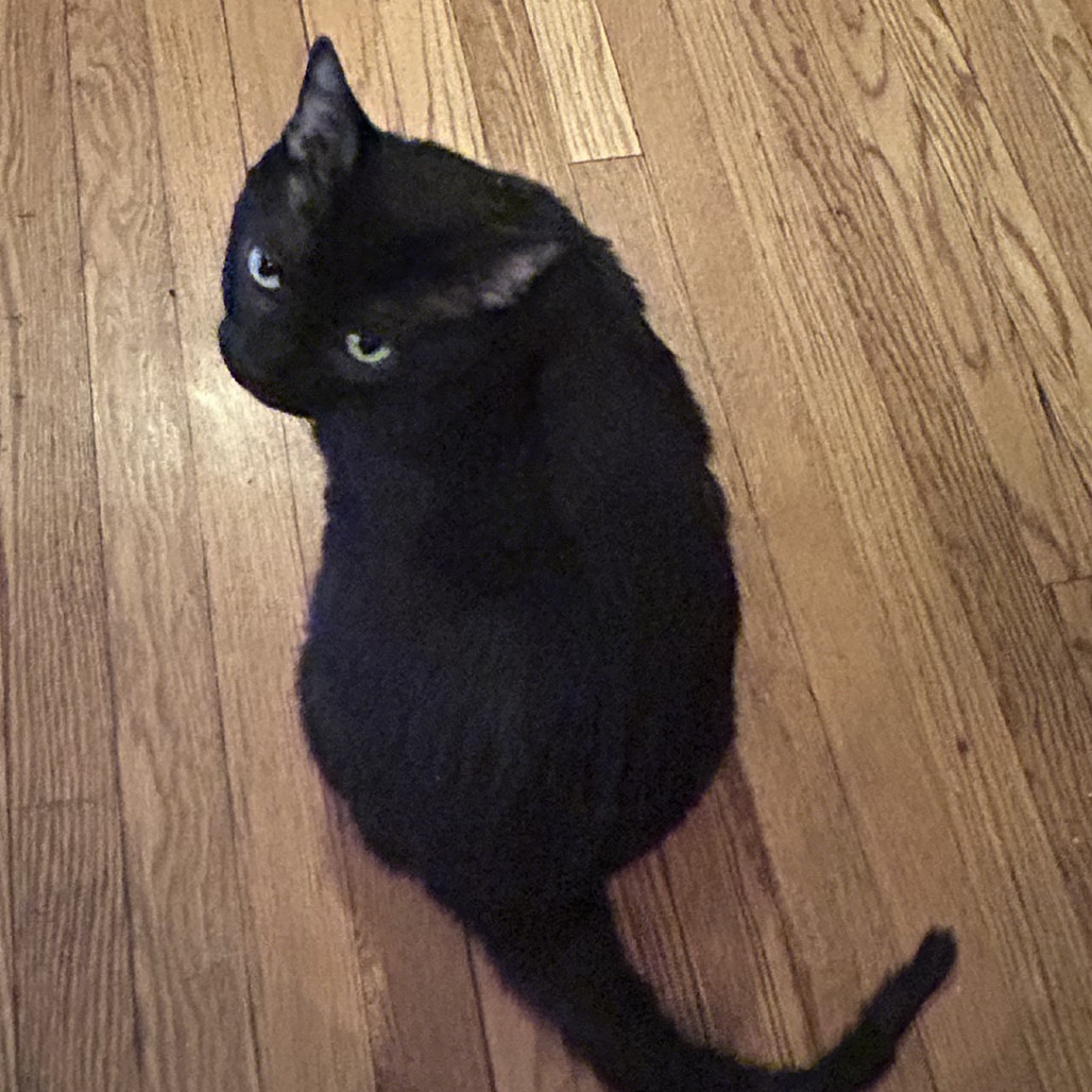 Doug (bonded with Laurie)