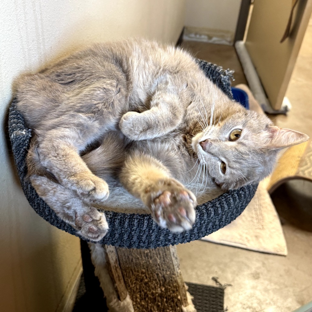 Yama - Velvety soft lovebug!