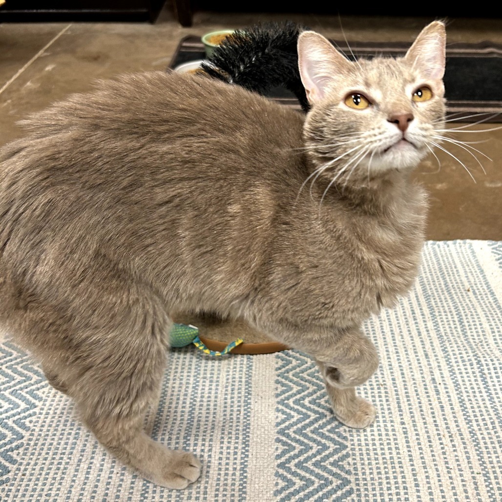 Yama - Velvety soft lovebug!