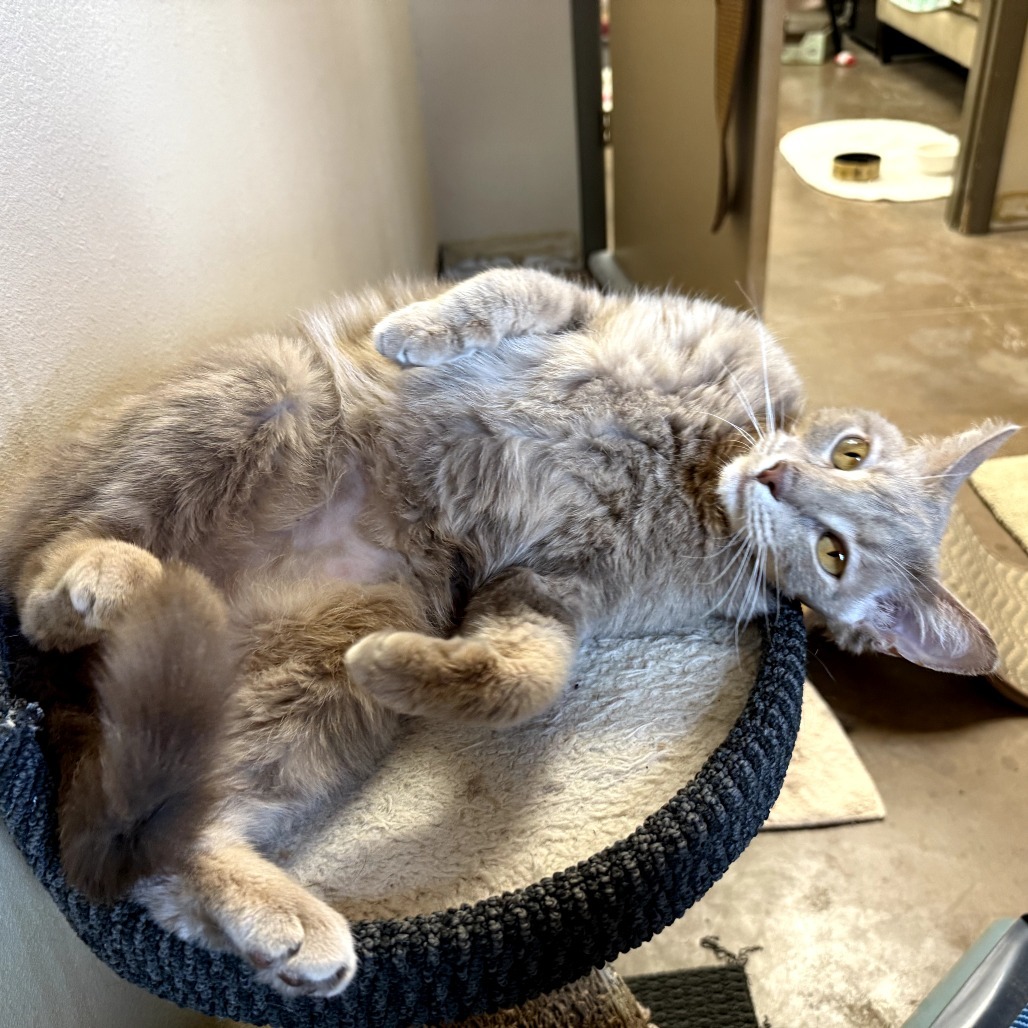 Yama - Velvety soft lovebug!