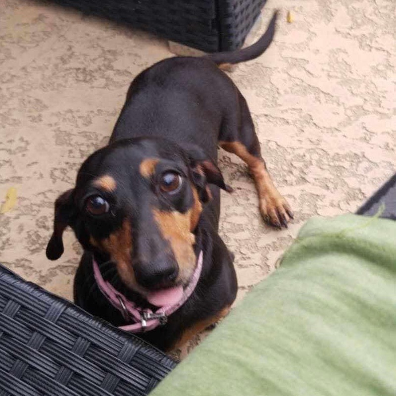 Molly