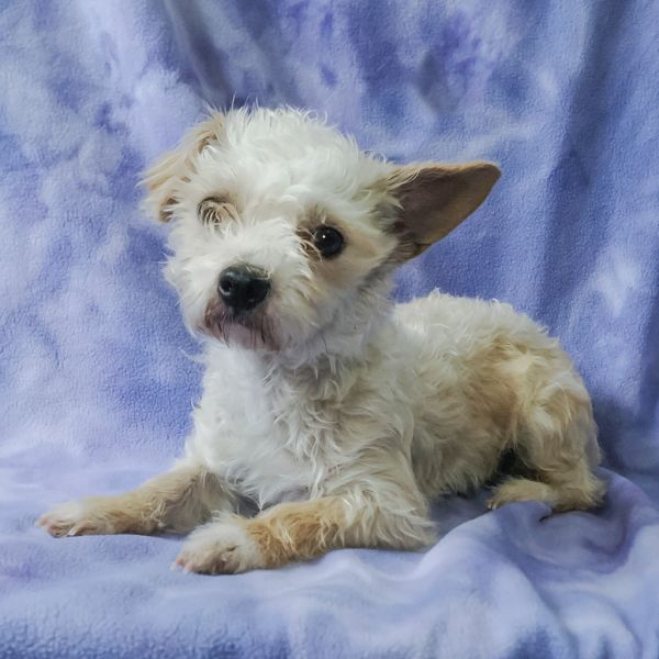 Ashley Bonded To Mary thumbnail 5