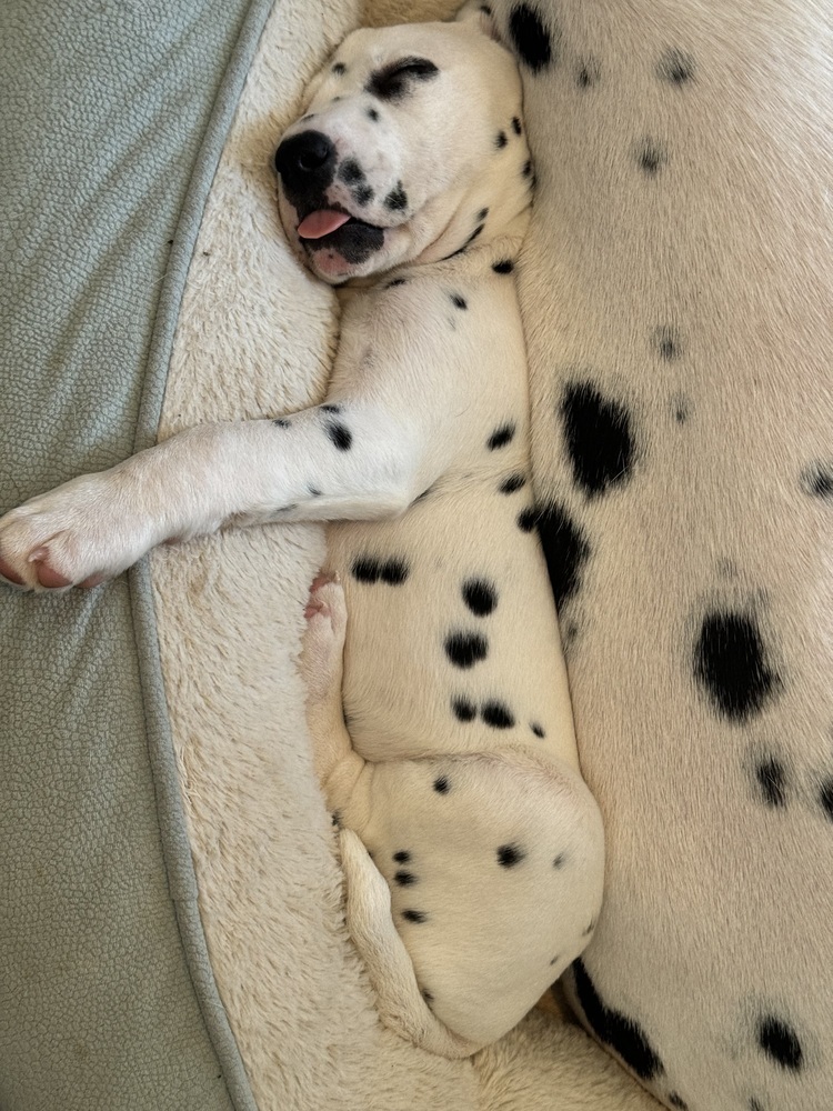 Wrinkles