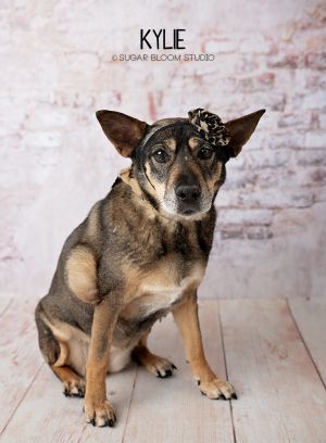 Kylie, Adult Female unknown