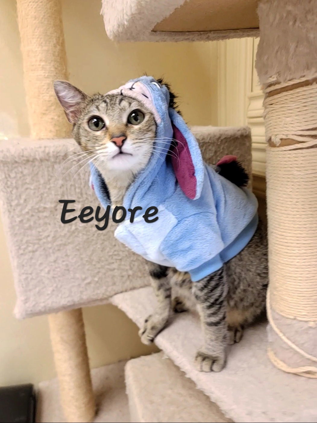Eeyore #good-hearted